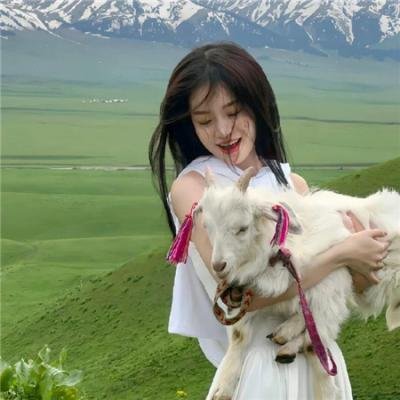 女记者查案记